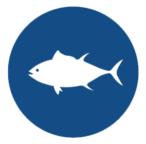 Thunfisch