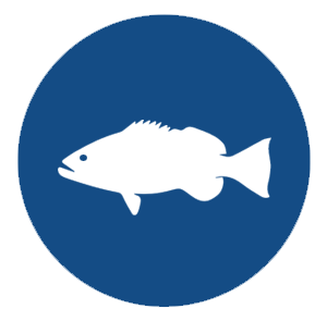Fisch